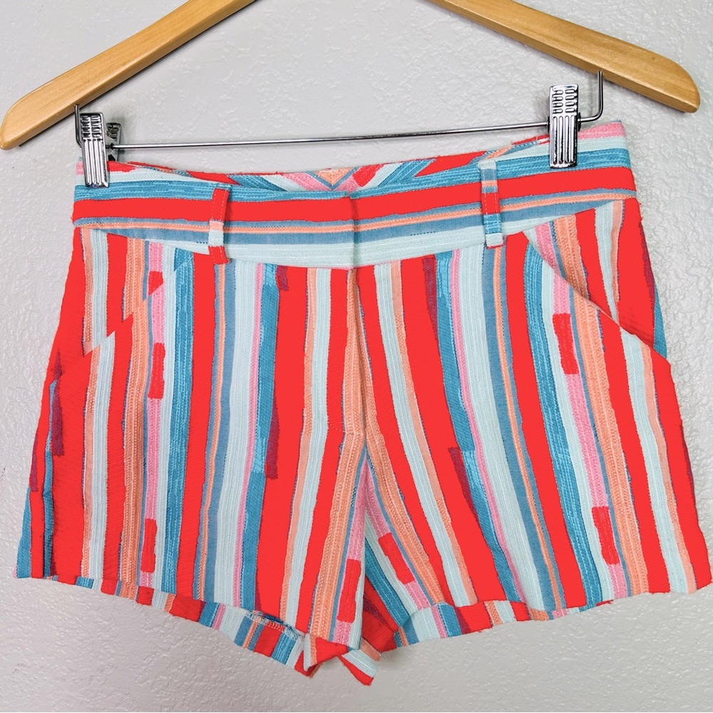 Anthropologie Drew Stripe Shorts sz 2